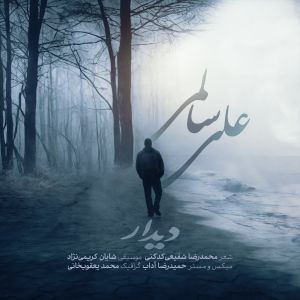دانلود آهنگ جدید علی سالمی به نام ديدار
